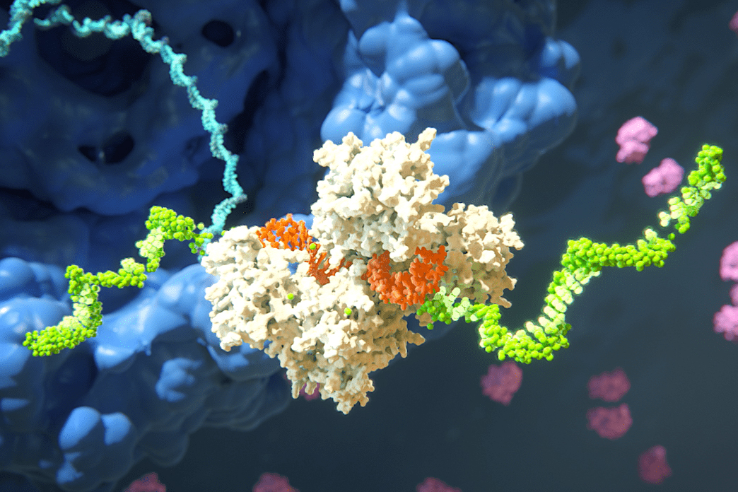 Advancing RNAi from Research to Effective Treatments