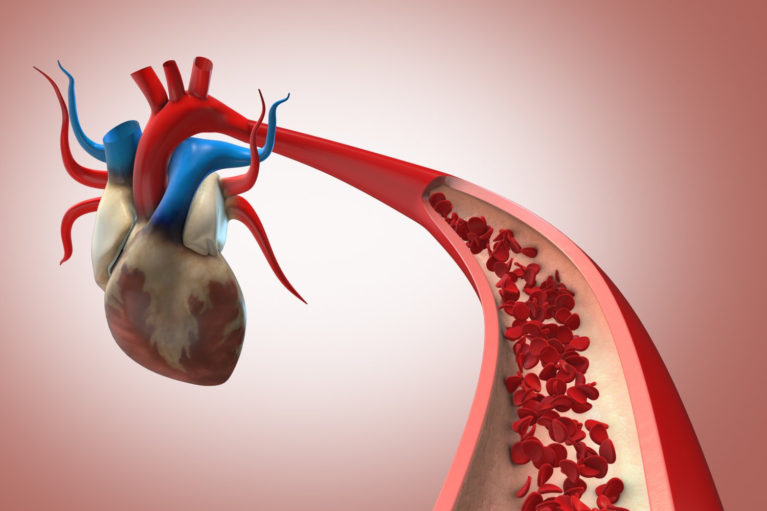 Fast Accurate Estimates of Cardiovascular State for Blood Pressure