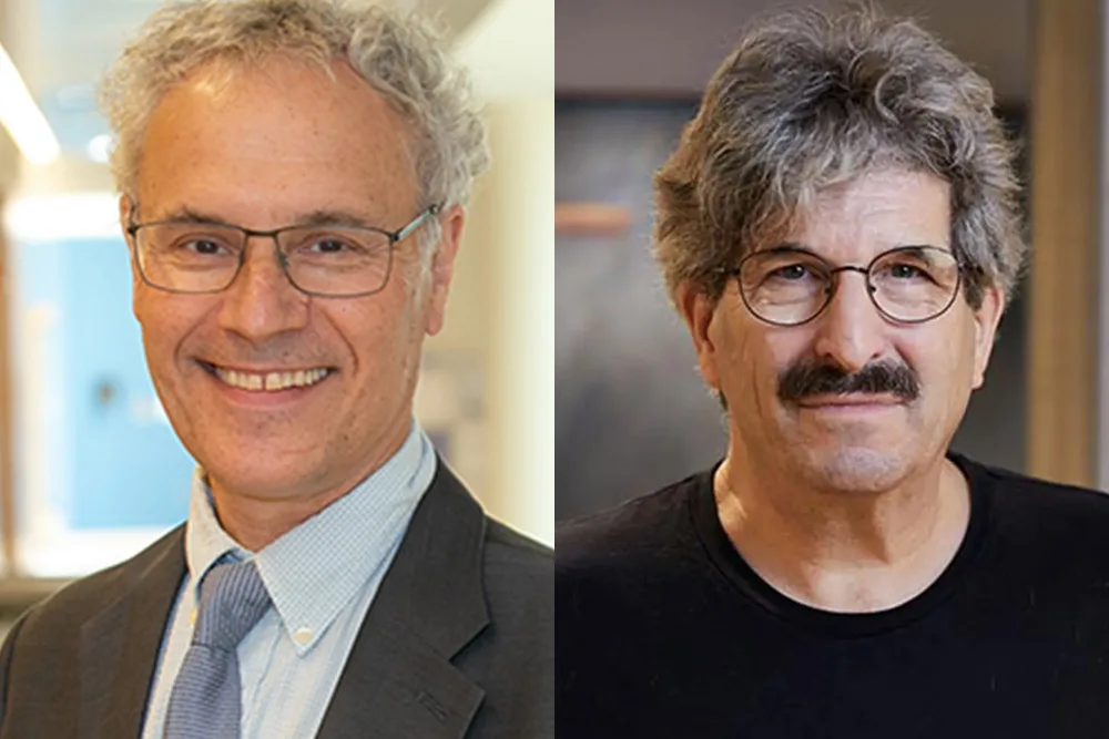 Victor Ambros and Gary Ruvkun win Nobel Prize in Medicine