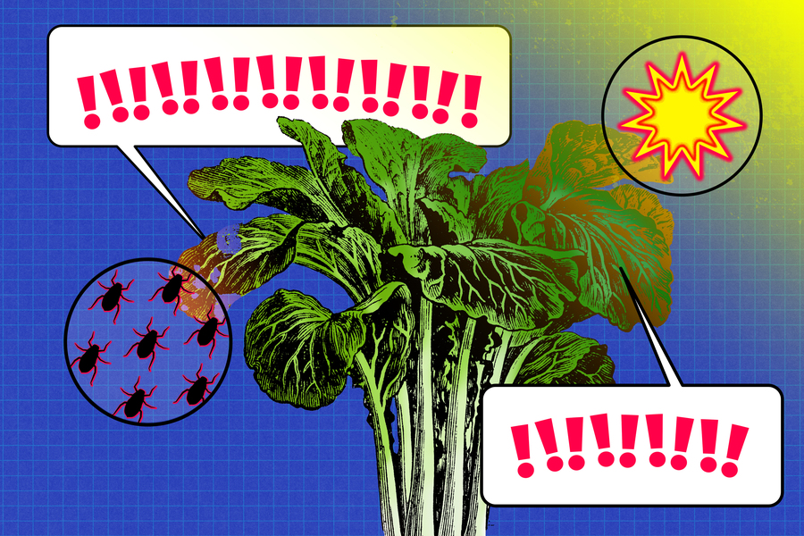 Illustration of stressed plants signaling distress