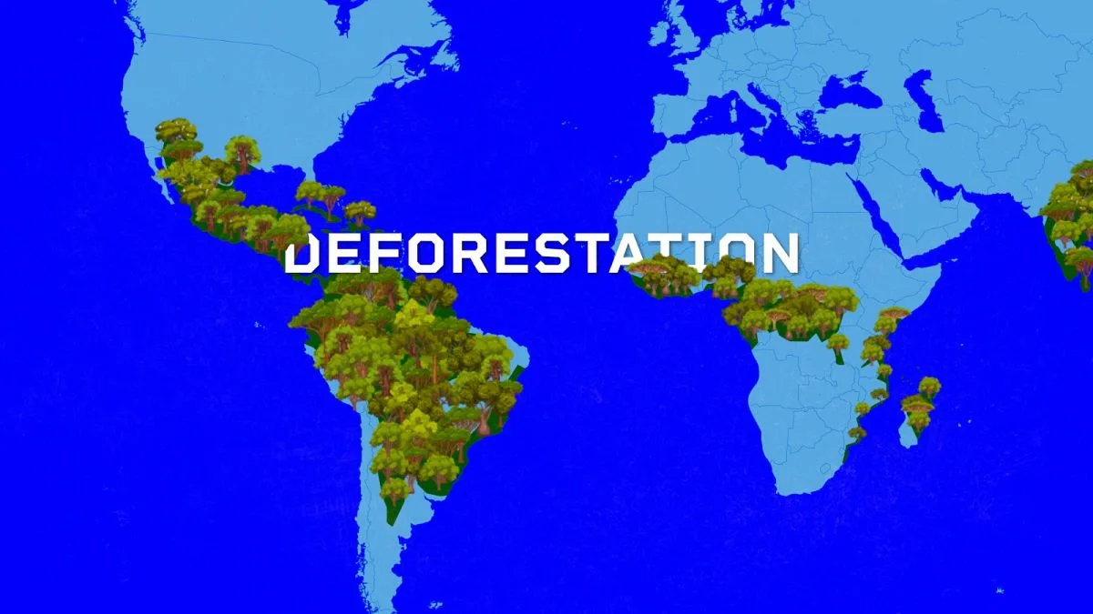 Deforestation Law Trade-Offs in EU Negotiations Explained