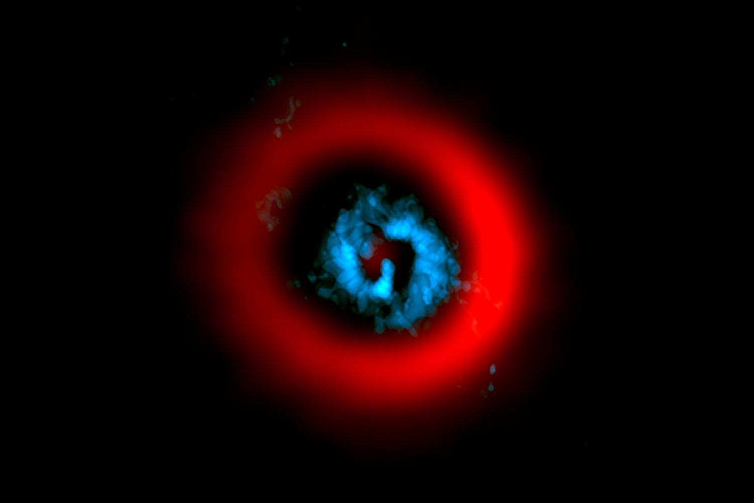 Evidence of Planetary Formation via Gravitational Instability